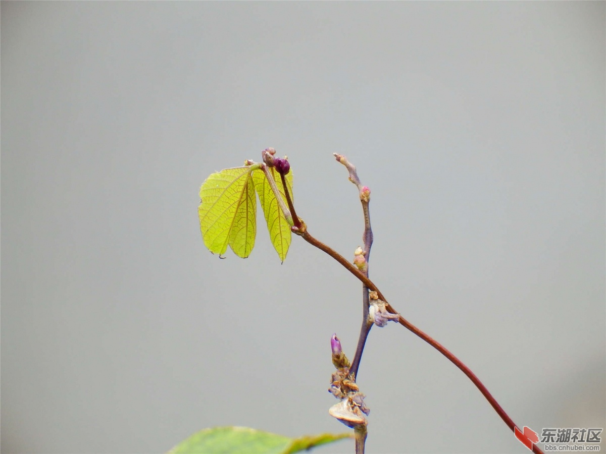 DSCF2540_副本.jpg