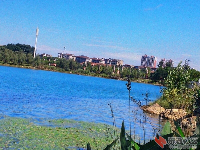 IMG20150727100653.jpg