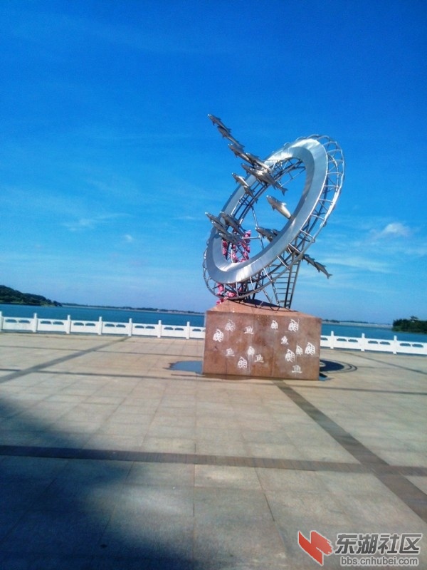 IMG20150727100250.jpg