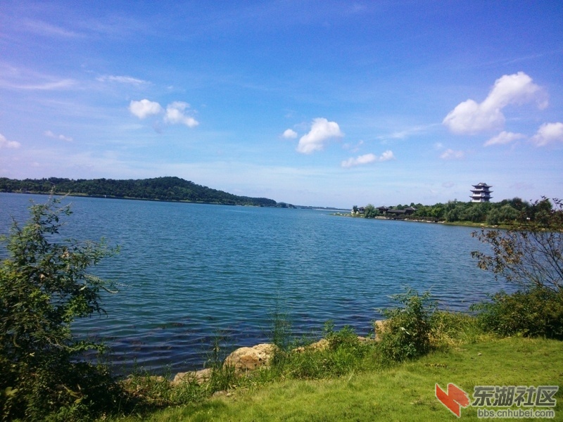 IMG20150727101351.jpg
