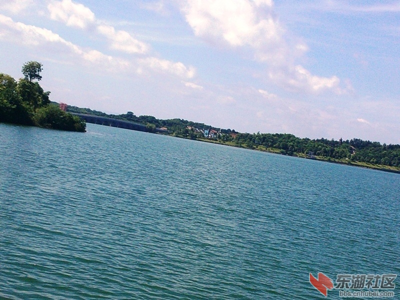 IMG20150727101526.jpg