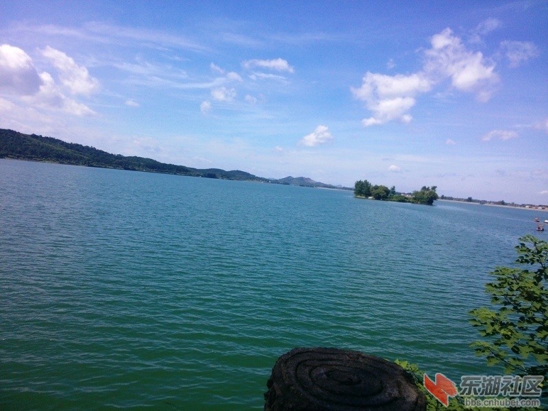 IMG20150727102655.jpg