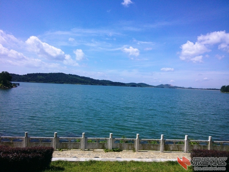 IMG20150727102502.jpg