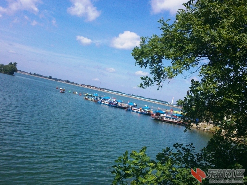 IMG20150727102826.jpg