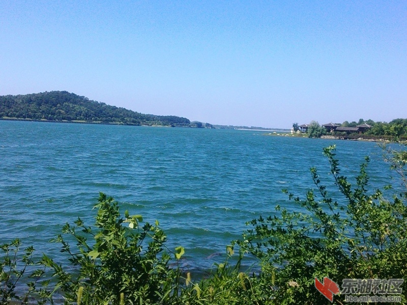 IMG20150728100756.jpg