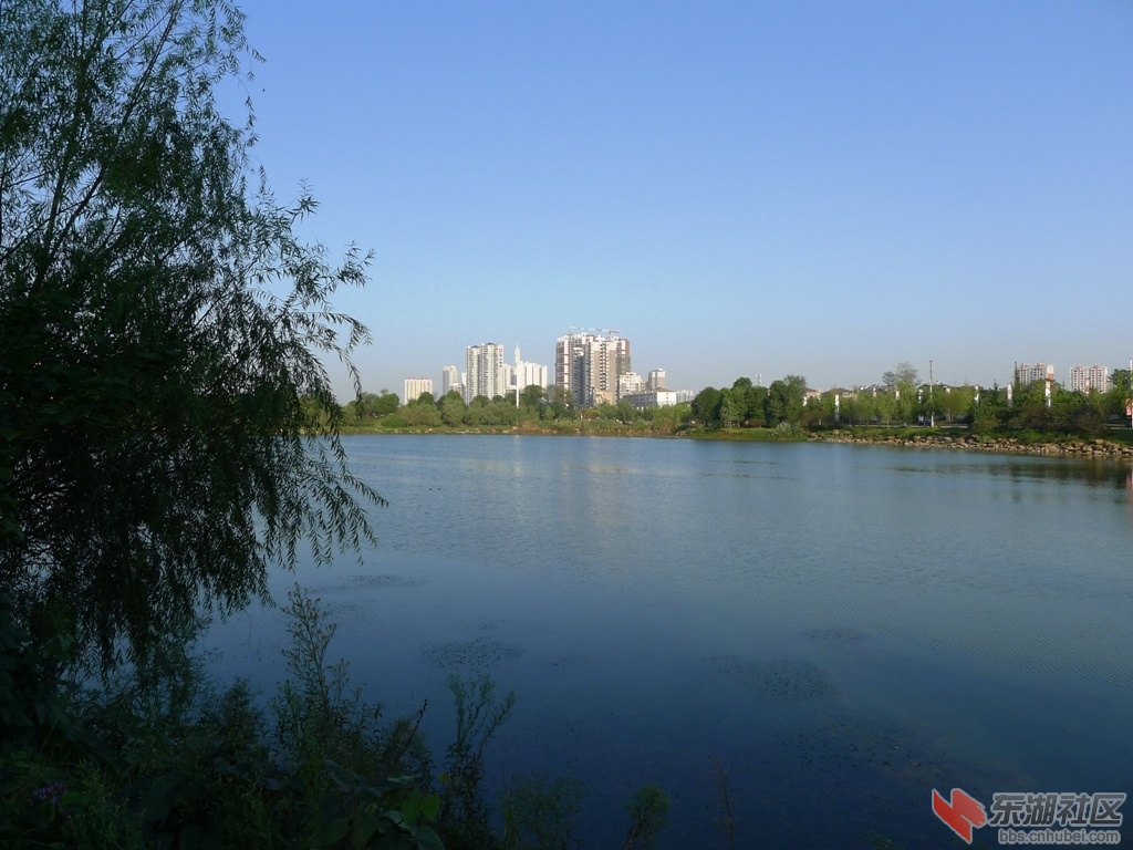 P1090078 - 副本.JPG