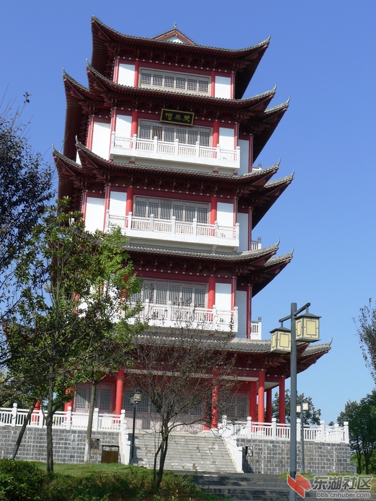 P1090048.JPG