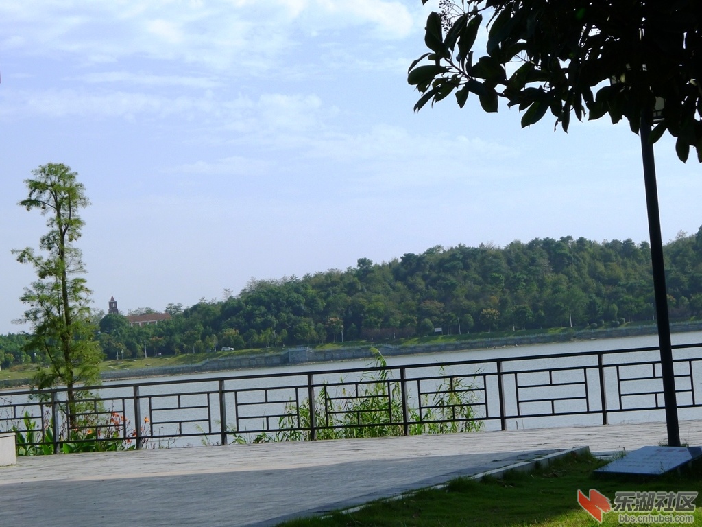 P1090052.JPG