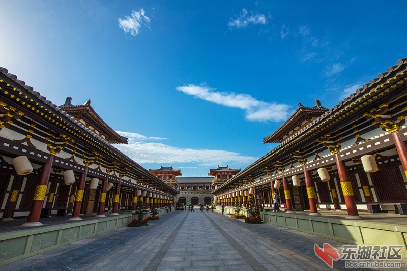 IMG_7570_副本.jpg