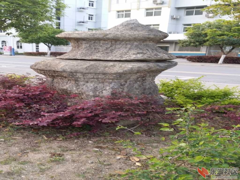 20150502_185624.jpg
