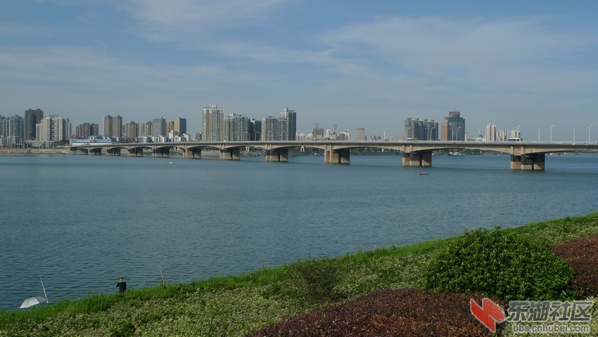 P1120505.jpg