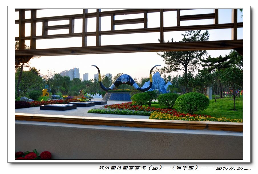 nEO_IMG_DSC_1048.jpg