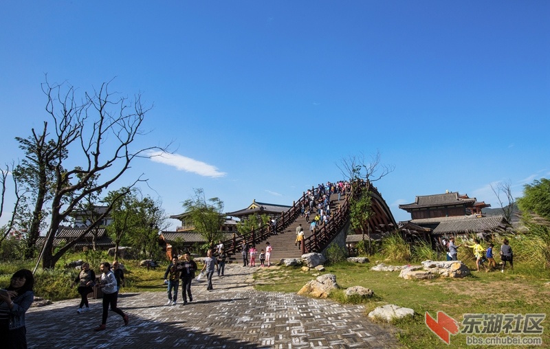 IMG_7638_副本.jpg