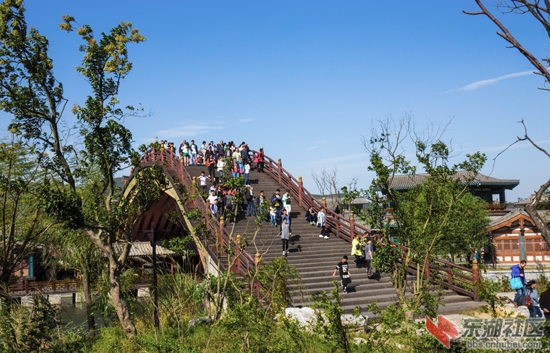 IMG_7640_副本.jpg