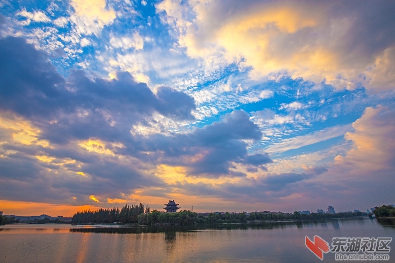IMG_7705_副本.jpg