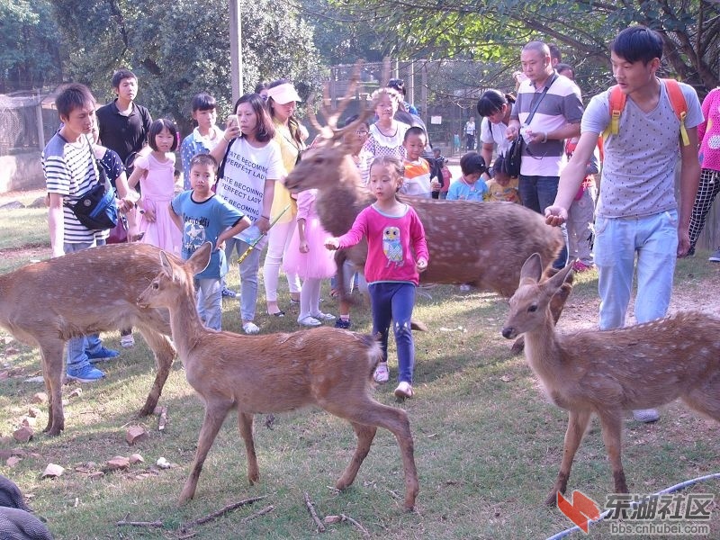 P1430690.JPG