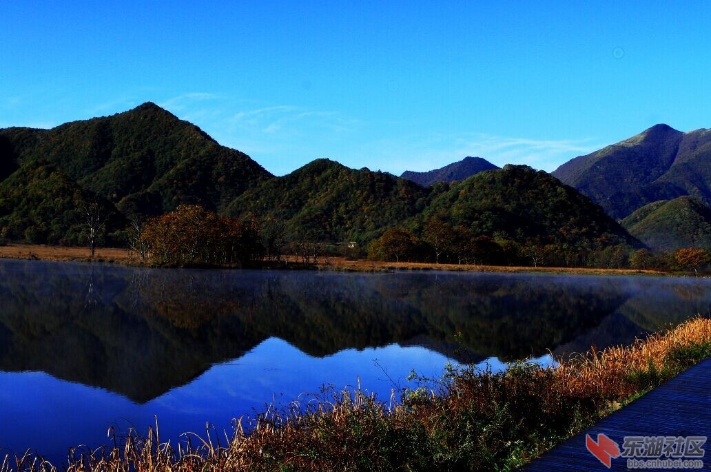 QQ图片20151013004309.jpg