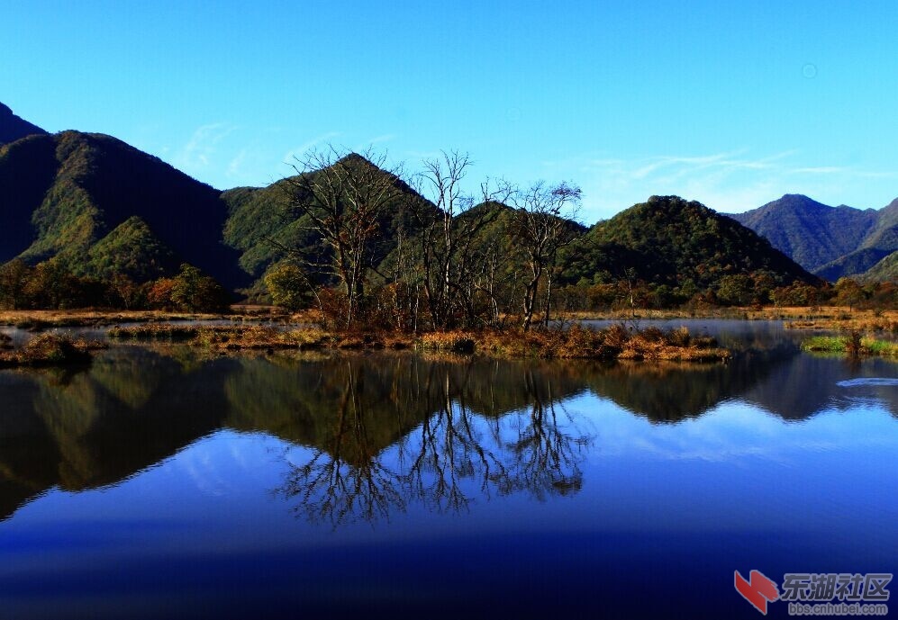 QQ图片20151013005434.jpg