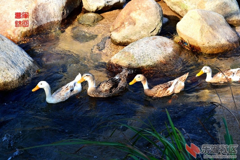 DSC_0368_副本.jpg