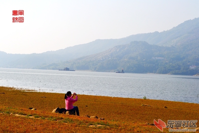 DSC_0268_副本.jpg