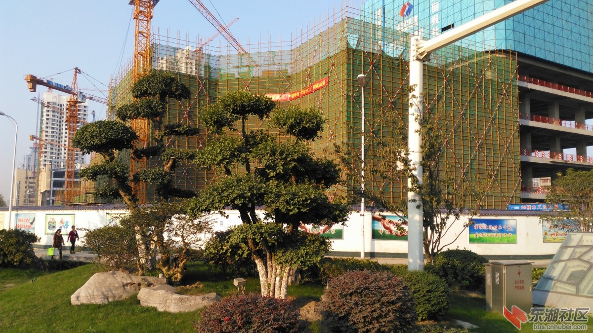 IMG_20151014_163724_副本.jpg
