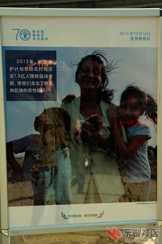 IMG_8346_副本.jpg