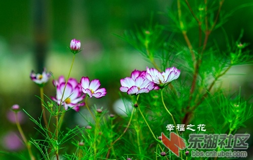 DSC_1917_副本.jpg