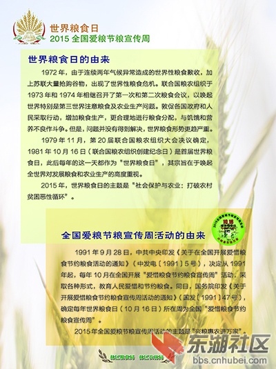 世界粮食日（粮食局）.jpg