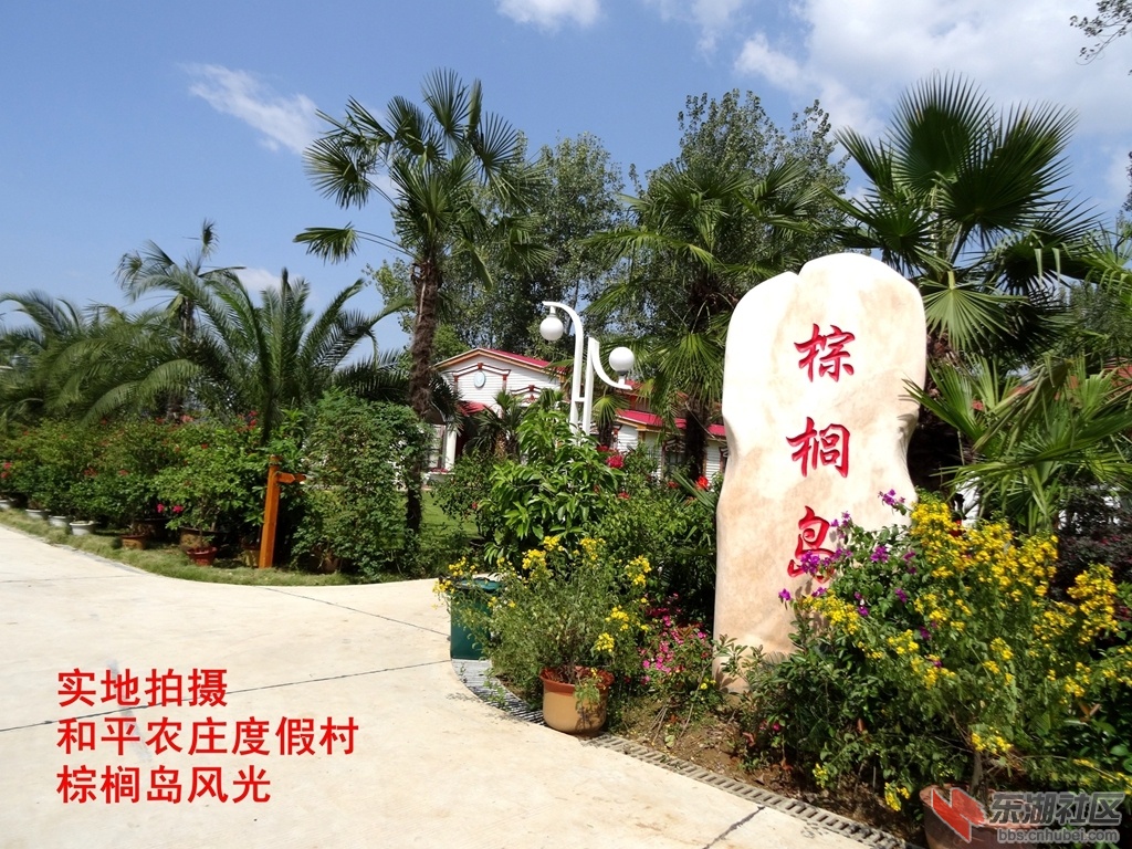 棕榈岛.JPG