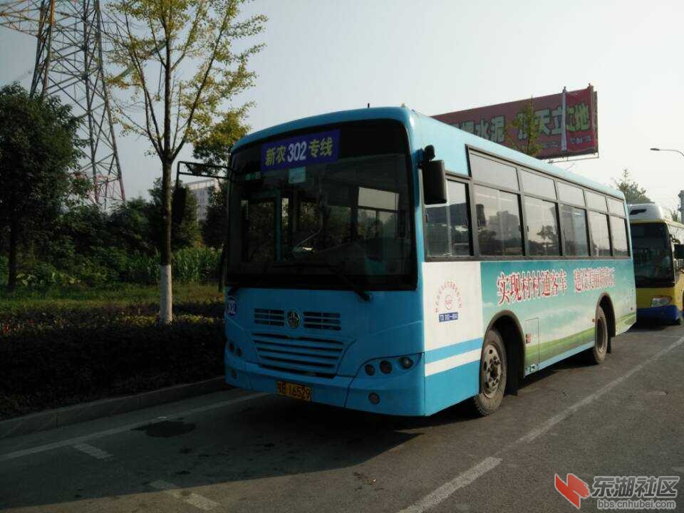 ae7949d9262fde1.jpg