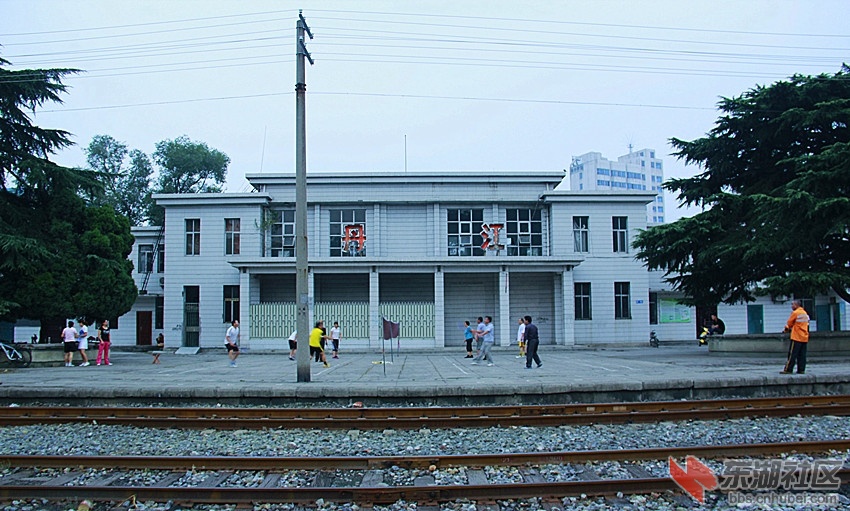 4989.jpg