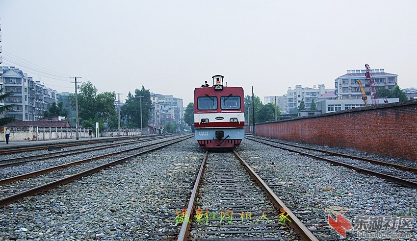 4990.jpg