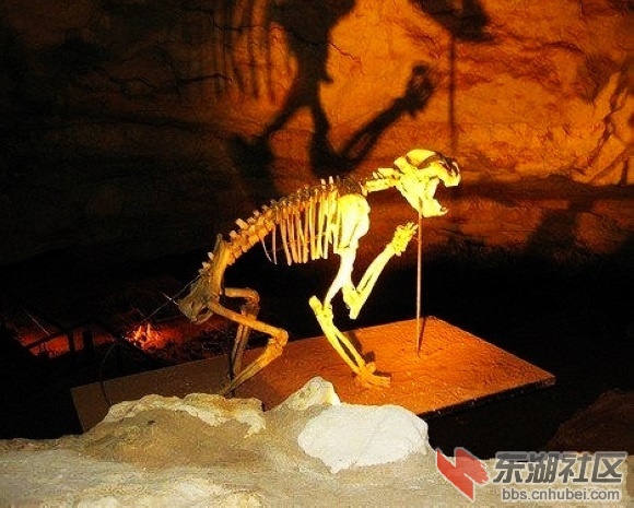 7.澳大利亚袋狮洞.jpg