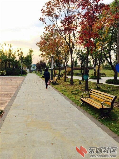 QQ图片20151020163340.jpg