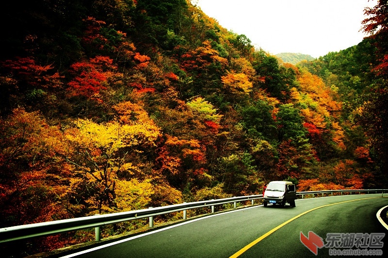 IMG_8961_副本0.jpg