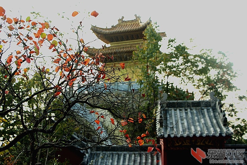 IMG_9015_副本.jpg