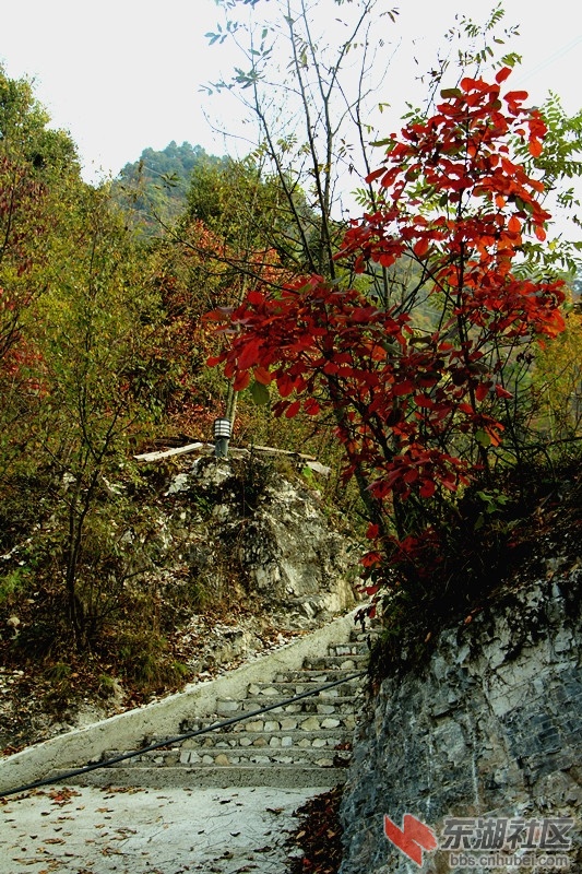 IMG_9012_副本.jpg