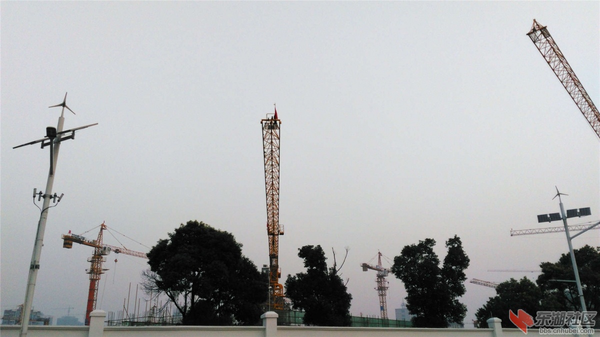 IMG_20151021_064327_副本.jpg