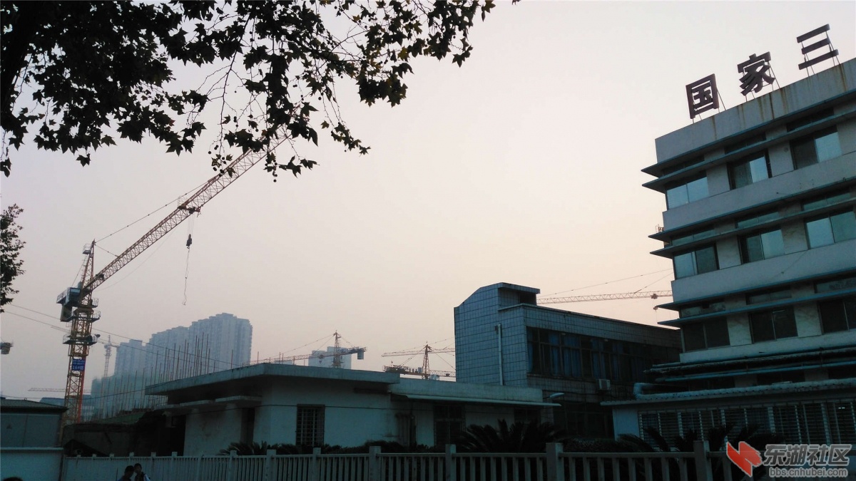 IMG_20151021_065017_副本.jpg