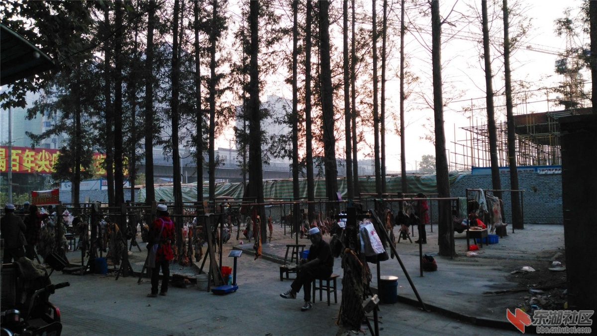 IMG_20151021_065922_副本.jpg