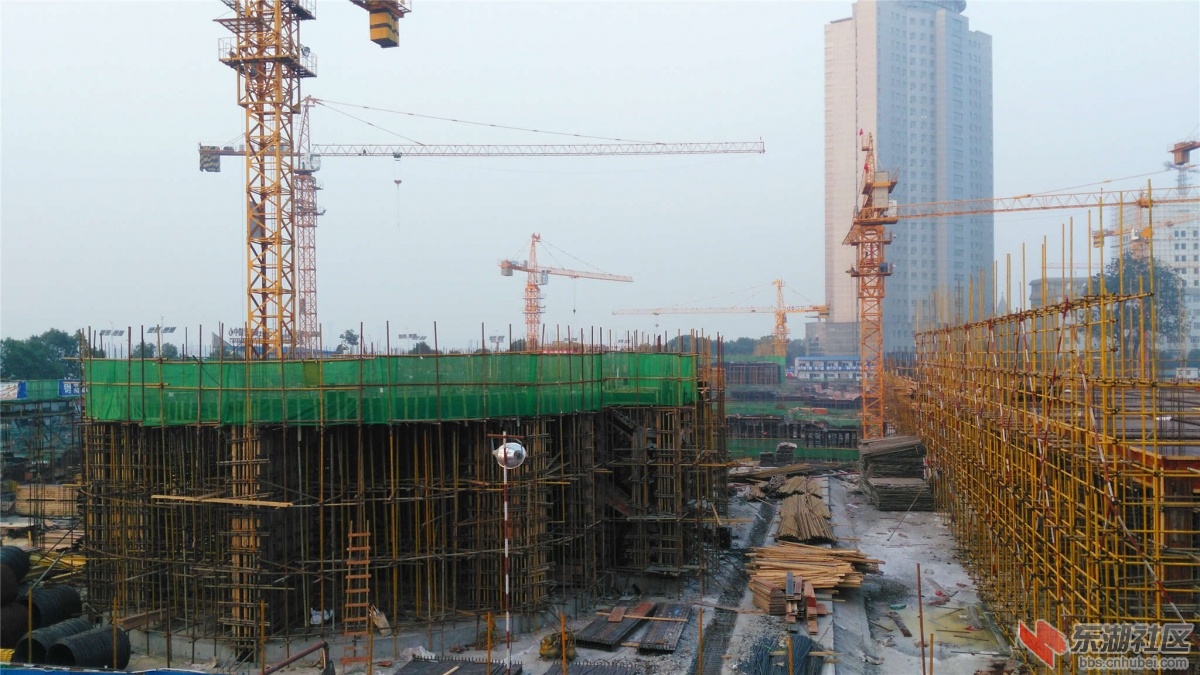IMG_20151021_070614_副本.jpg