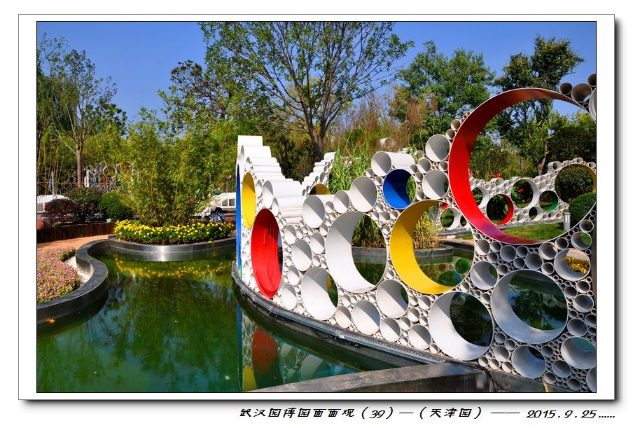nEO_IMG_DSC_0372.jpg