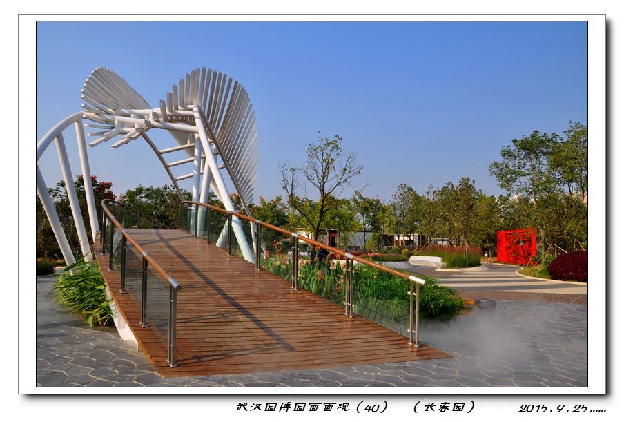 nEO_IMG_DSC_0968.jpg
