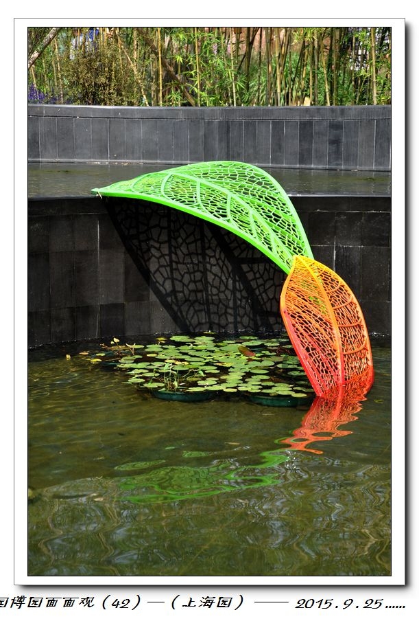 nEO_IMG_DSC_0113.jpg