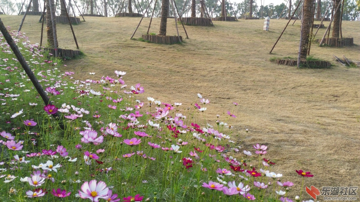 IMG_20151024_085324_副本.jpg