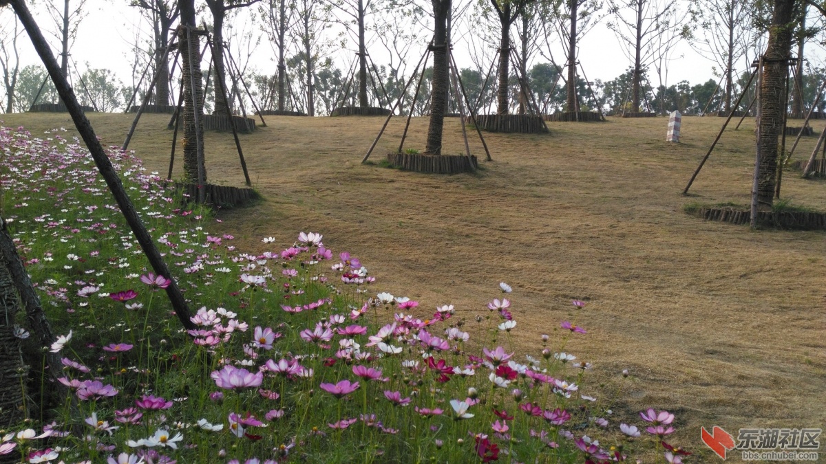 IMG_20151024_085347_副本.jpg