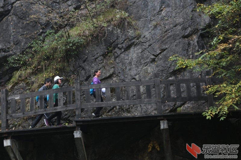 conew_cq4a0116.jpg