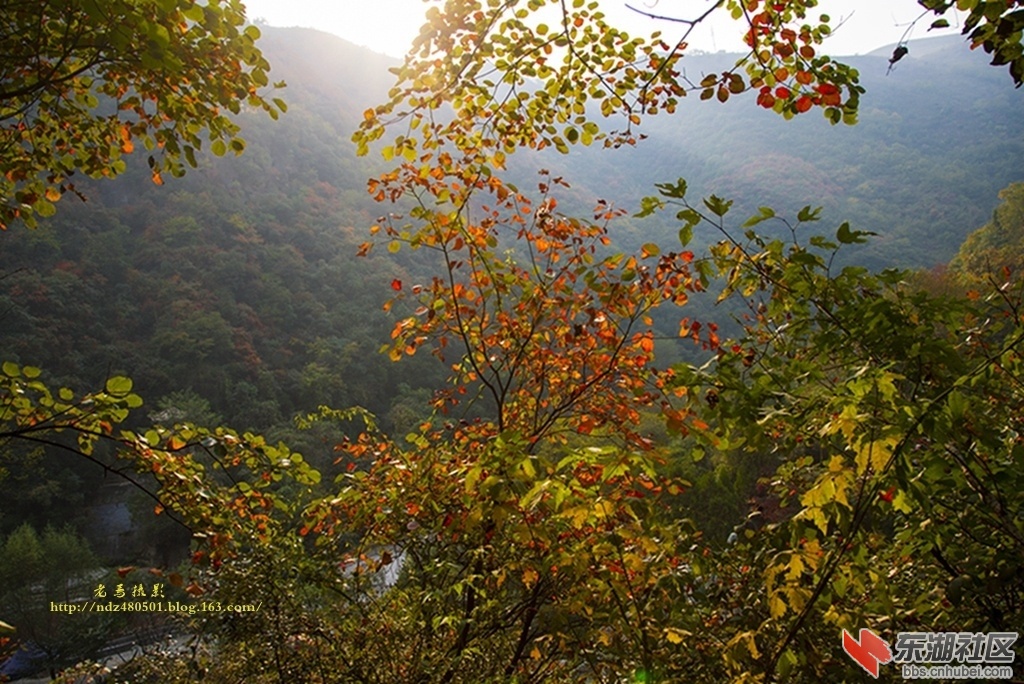 老焉秋季太极峡红叶.jpg