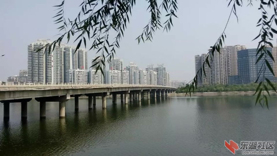 白云湖.jpg