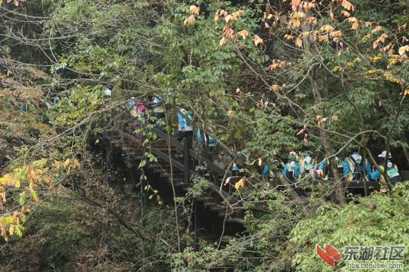conew_cq4a9250.jpg